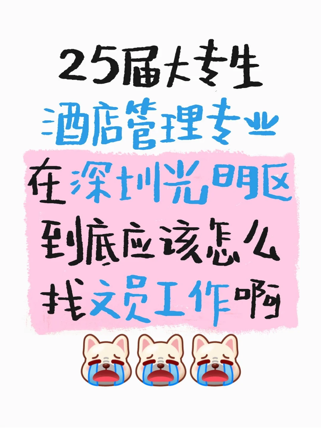 急需一个文员工作！！！