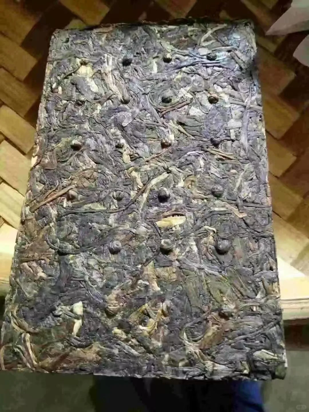 勐海教师