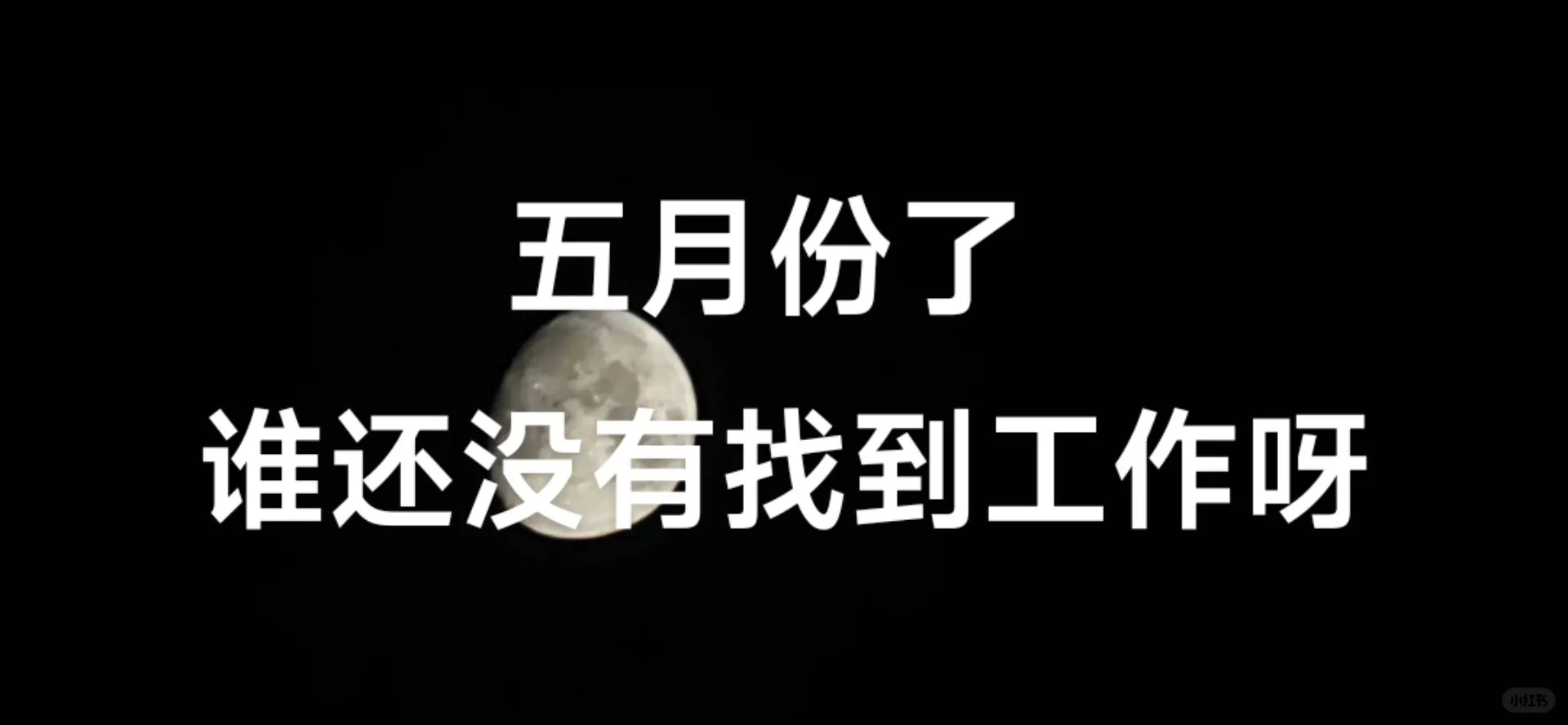 江南区招人了