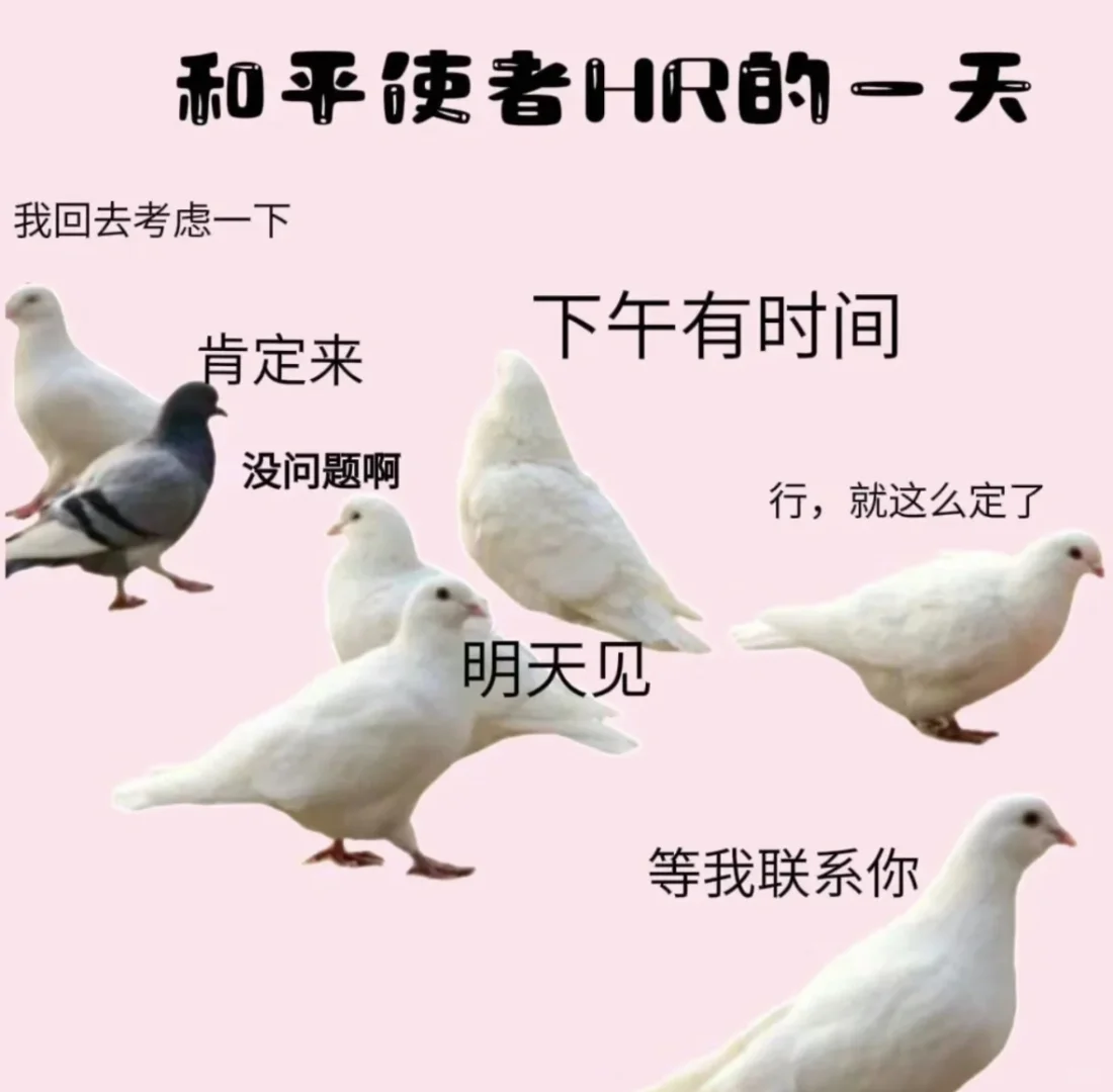 没有找文职岗的美女嘛?