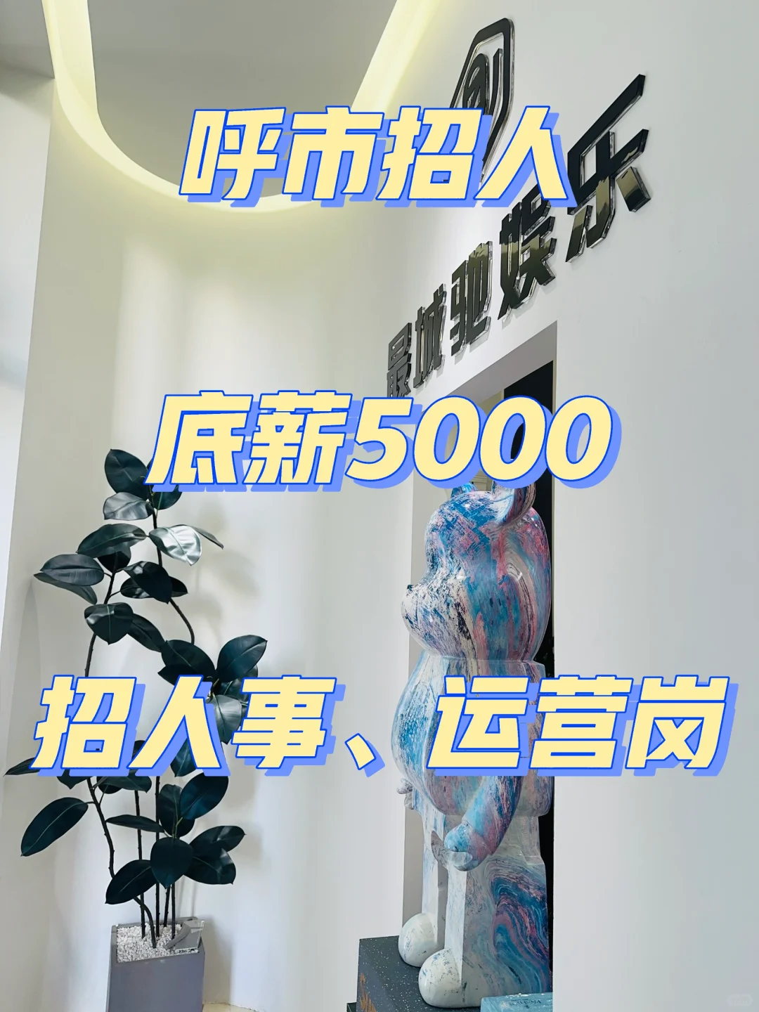 回民区招人事、运营经验不限，工作轻松?