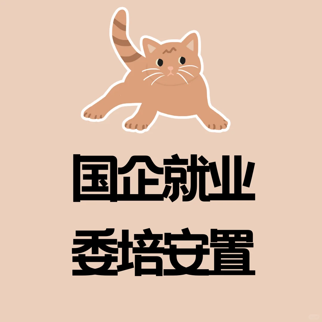 乡村振兴国企就业