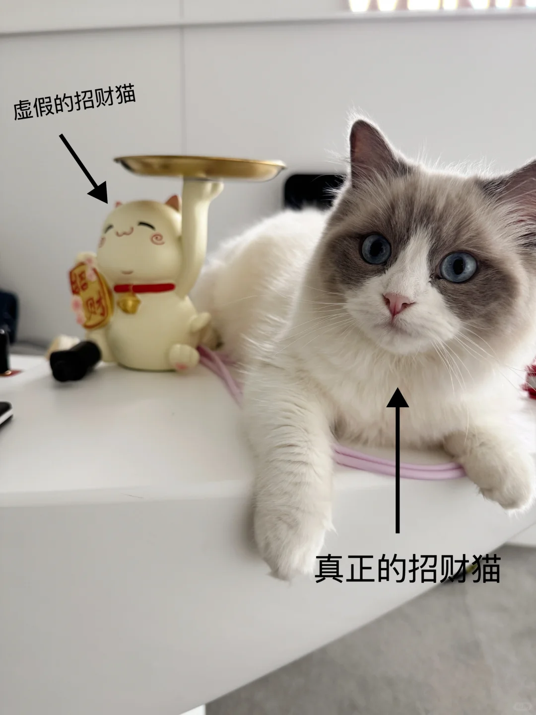 重生之我在初创传媒公司当人事（南通版）