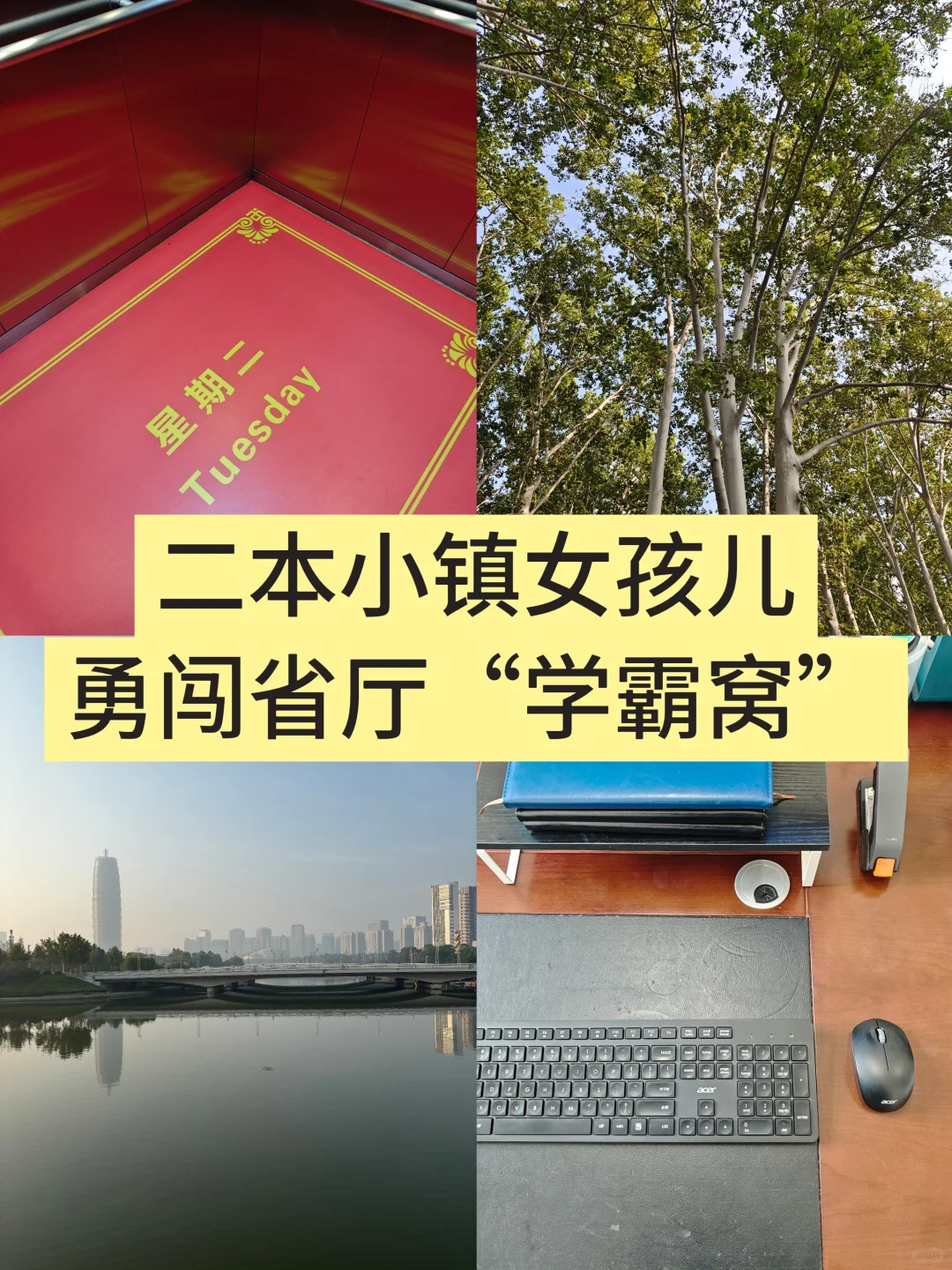 体制内|二本小镇女孩勇闯省厅“学霸窝”