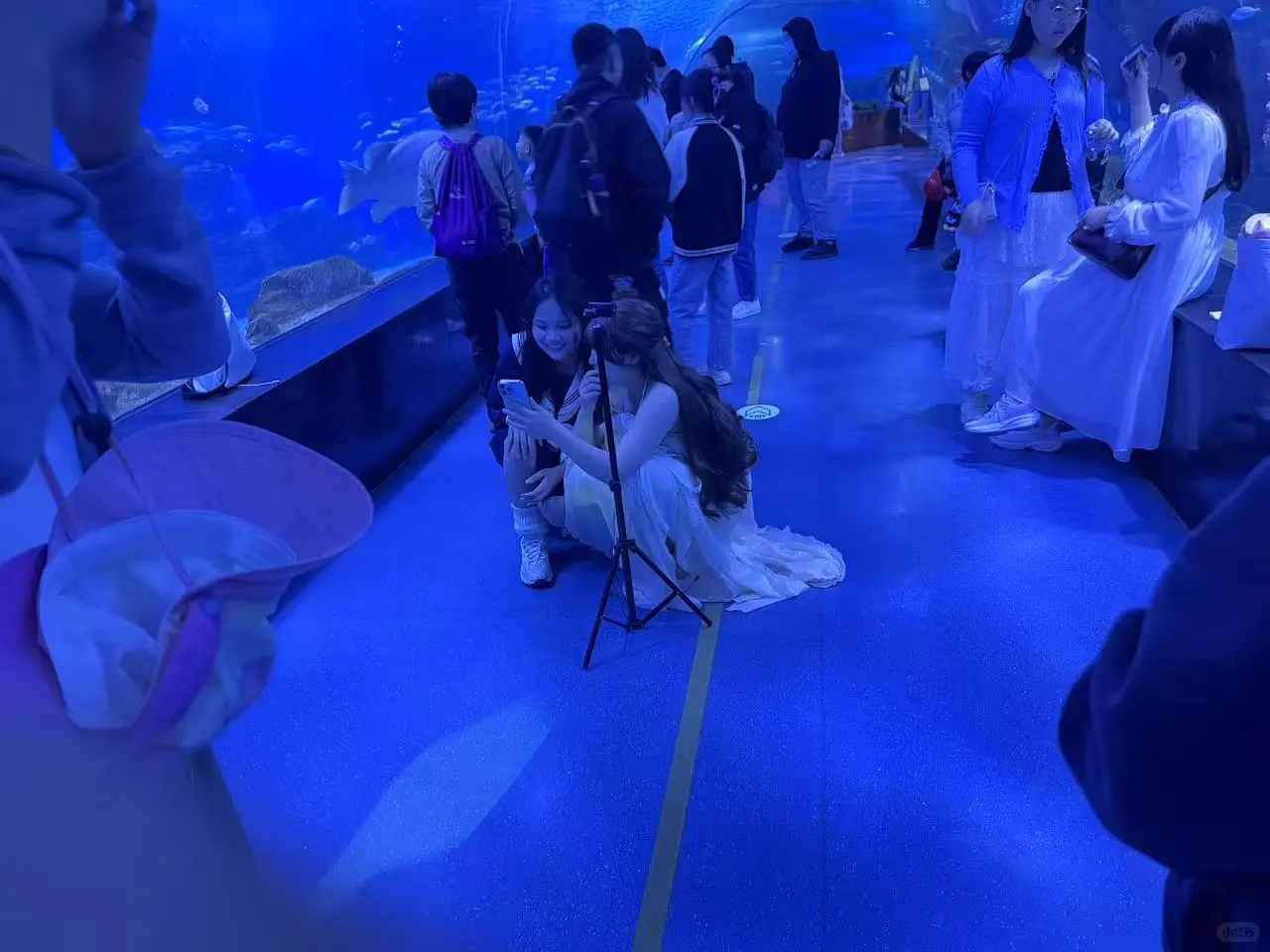 唐山招人 曹妃甸检验员