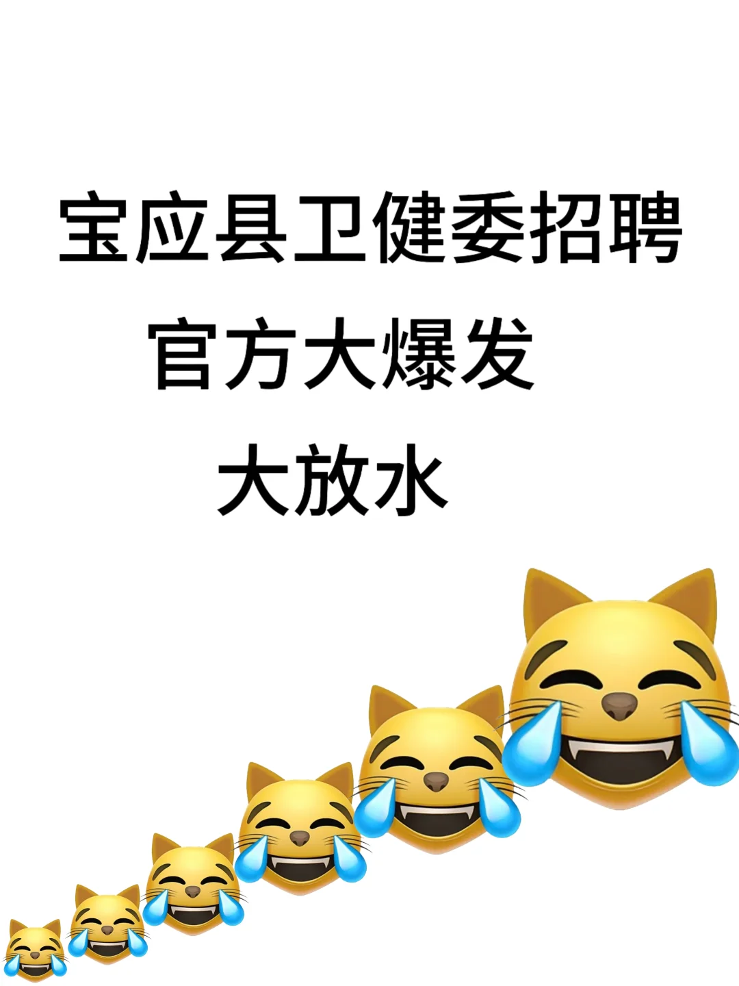 宝应县卫健委招聘，大爆发小道消息嘘