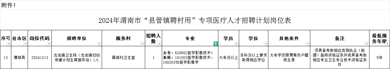 2024渭南县管镇聘村用医疗卫生职位表