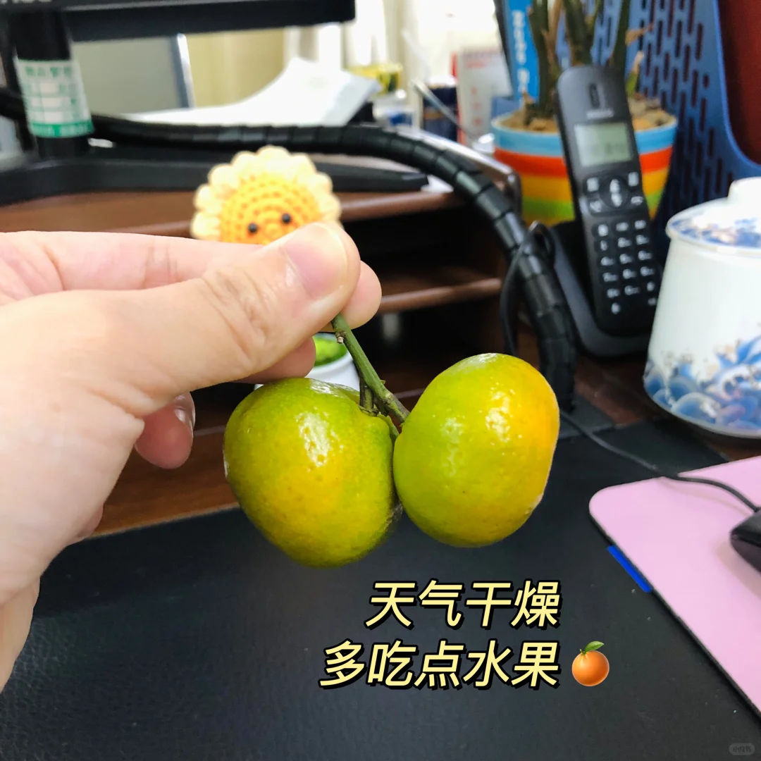 98年事业编hr｜公开招聘后怎么确定所聘岗位