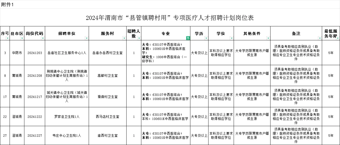 2024渭南县管镇聘村用医疗卫生职位表