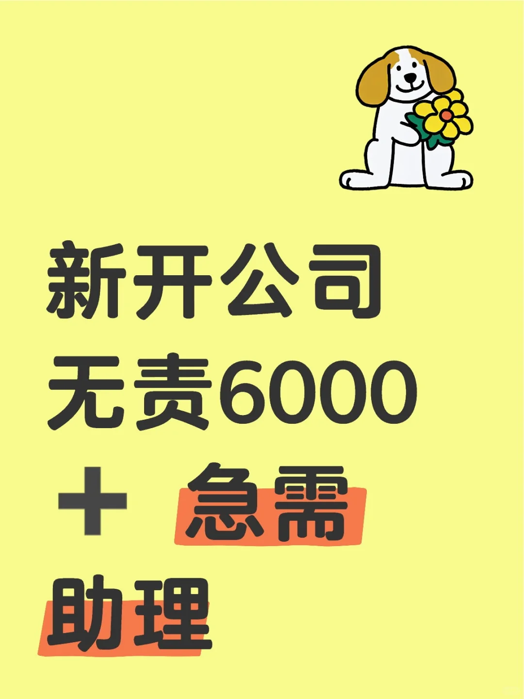 新开公司，需女助理