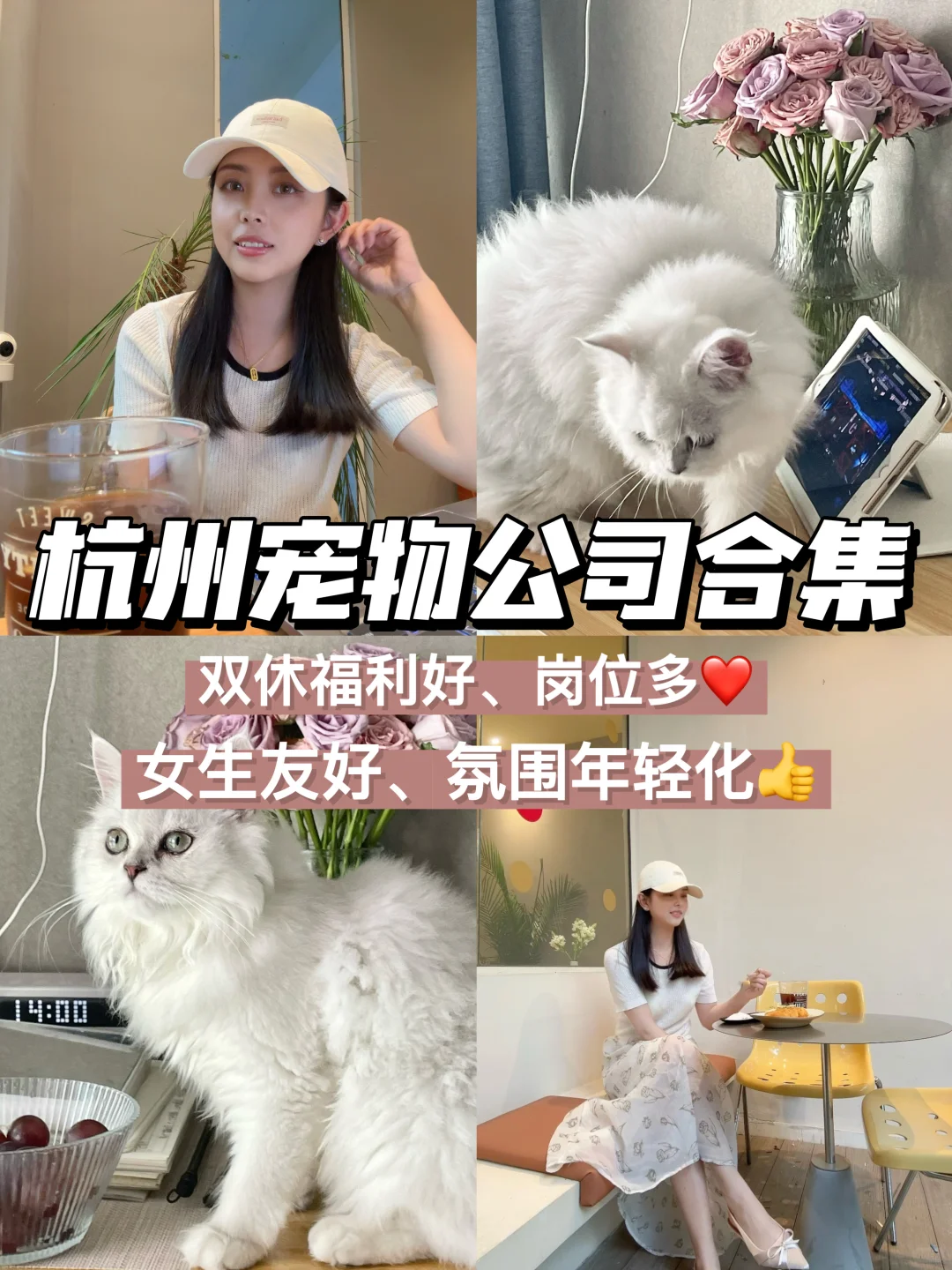 杭州宠物公司合集?双休福利好、岗位多?