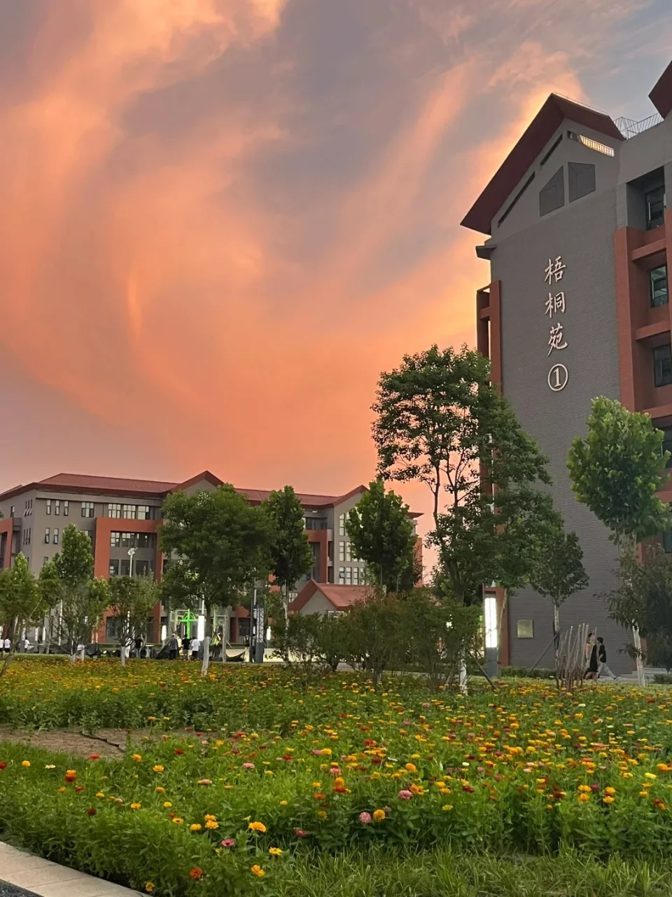 硕士进大专（河南地区）巡考经历