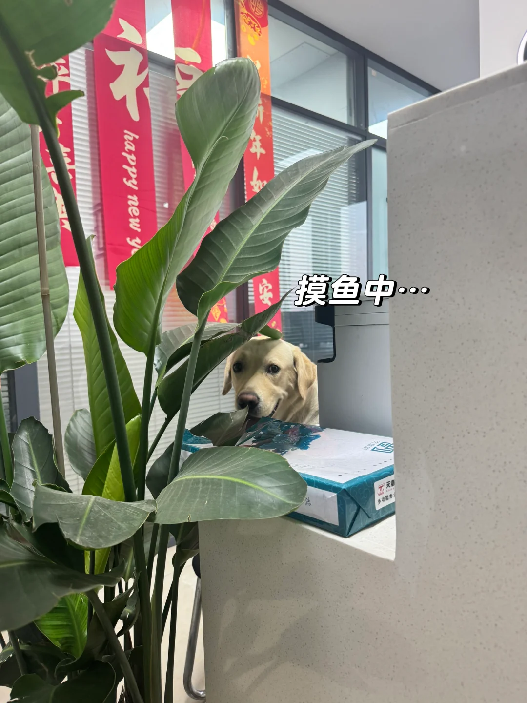 洛阳月入5K+的工作 轻松不加班?