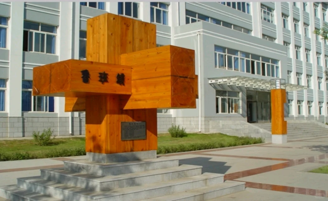 沈阳一学院被质疑萝卜岗招聘