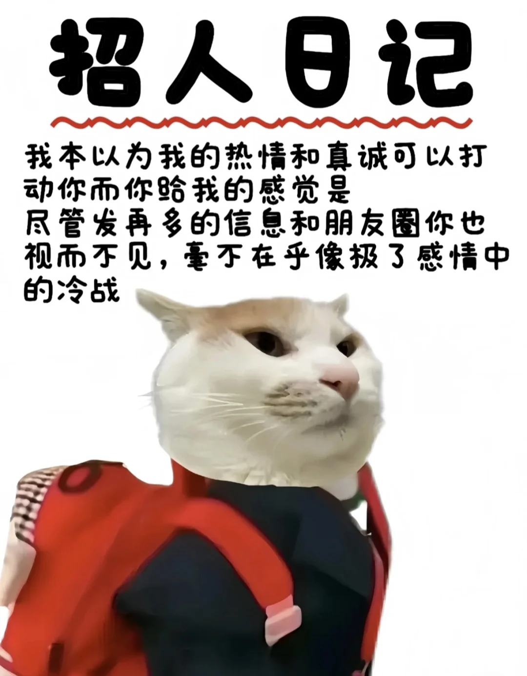 裕华万达招聘