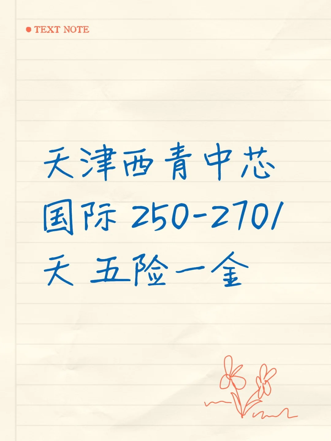 天津西青中芯国际招聘