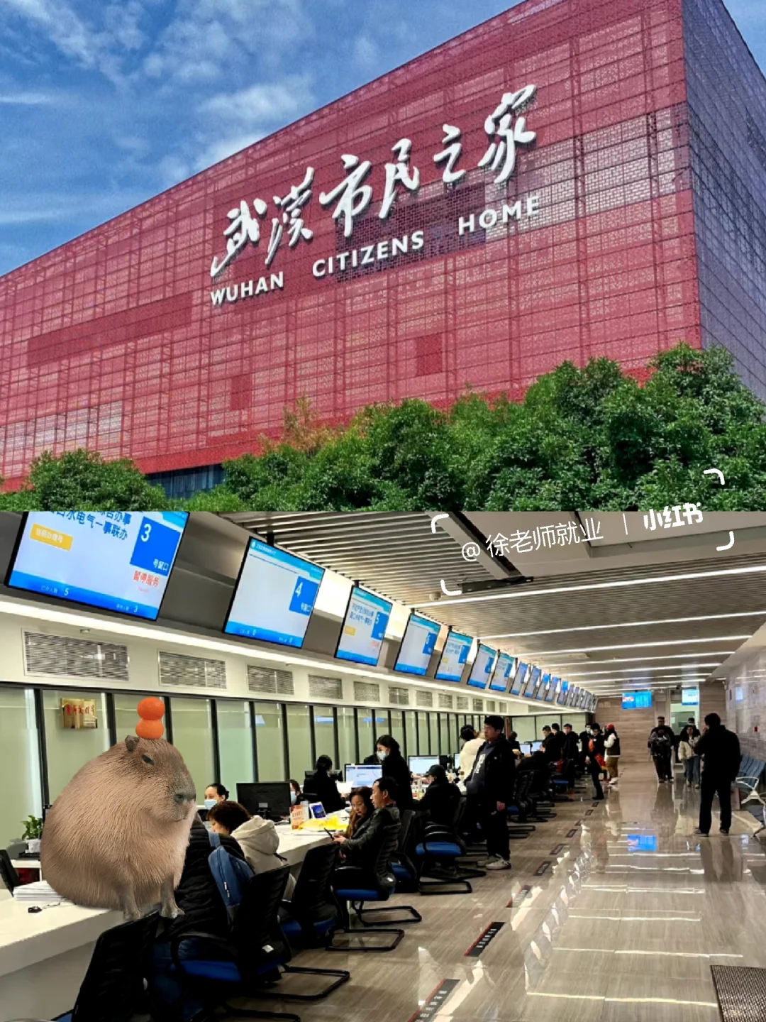 武汉政务中心文职岗，双休6k+，速来