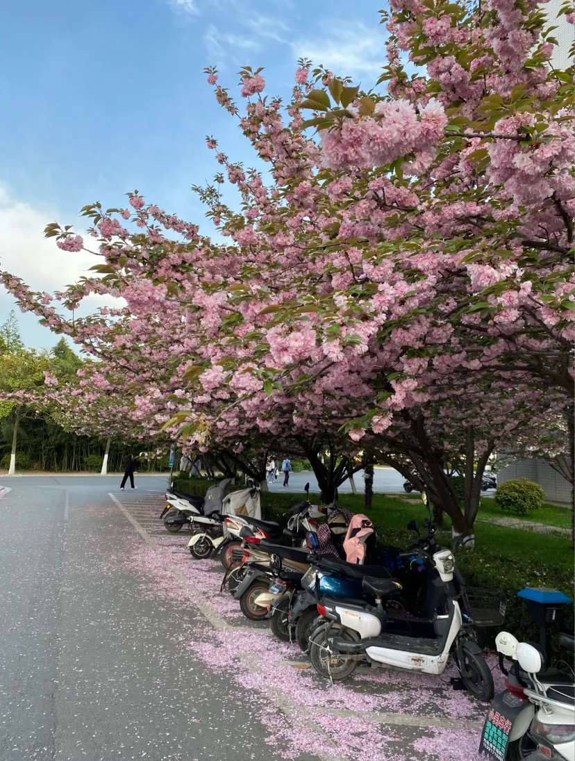 流行舞艺考生能上的大学之阜阳师范大学
