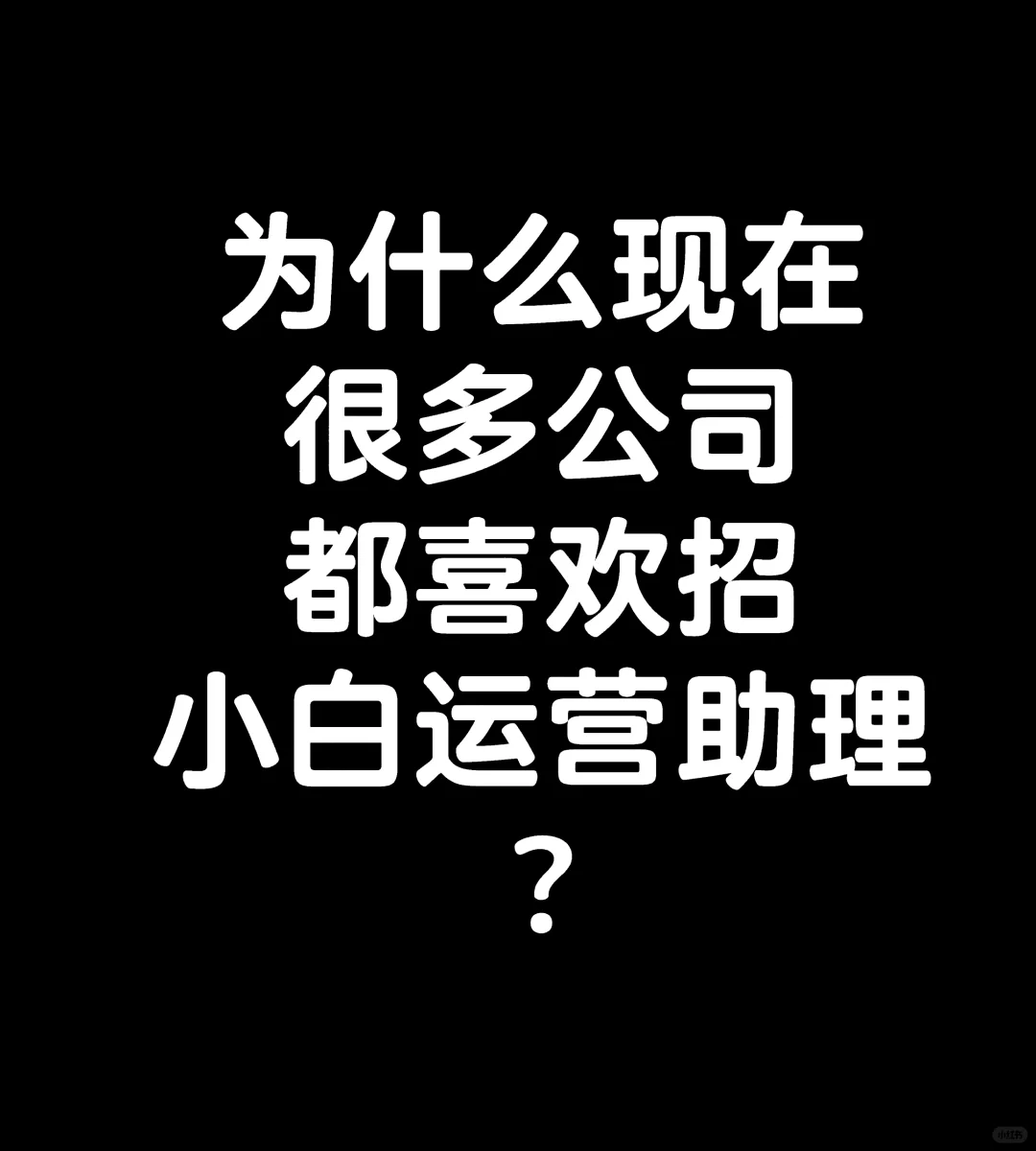 为什么现在公司都喜欢招小白运营助理？