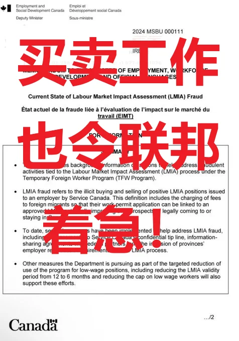 加拿大劳工部关于LMIA fraud的备忘录