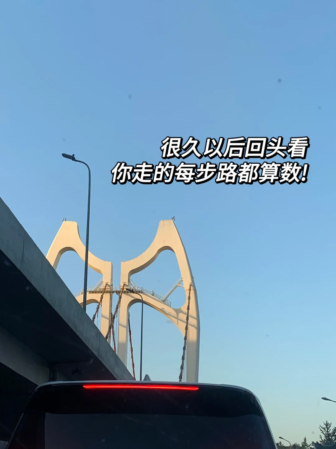 终于找到二本生梦中情司啦?打破信息差