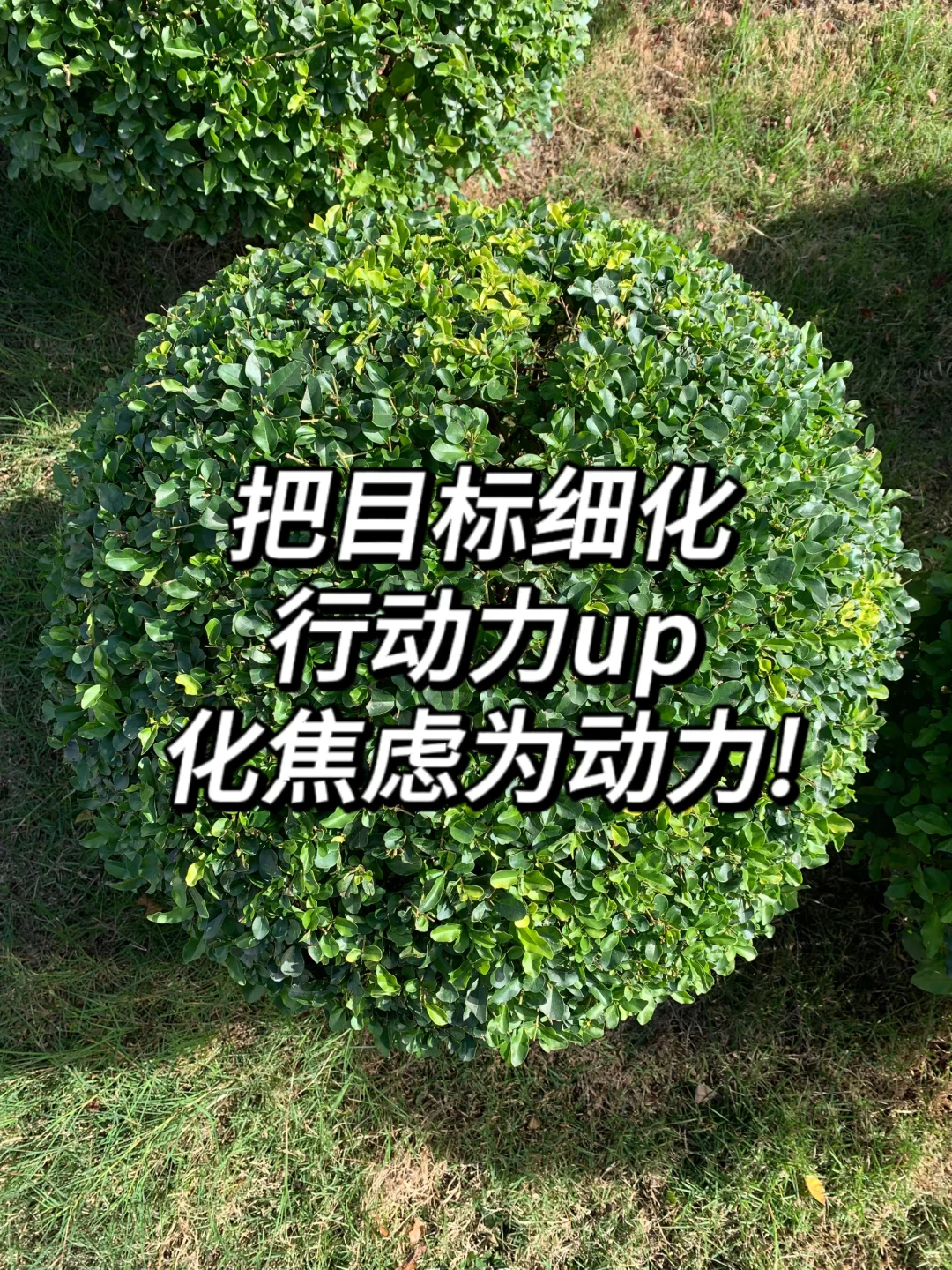 终于找到二本生梦中情司啦?打破信息差