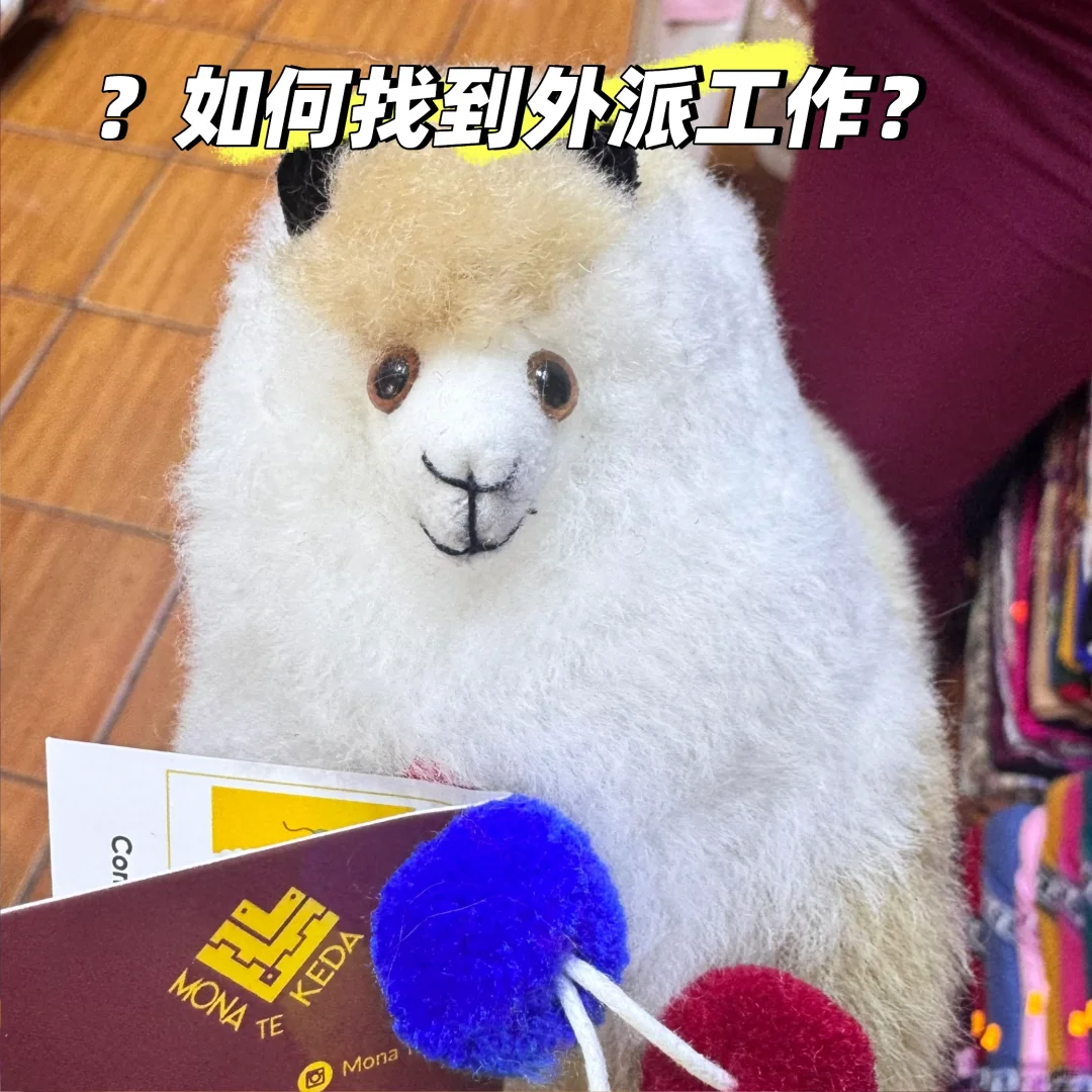 想找外派工作都看过来啦！攻略➕避坑?