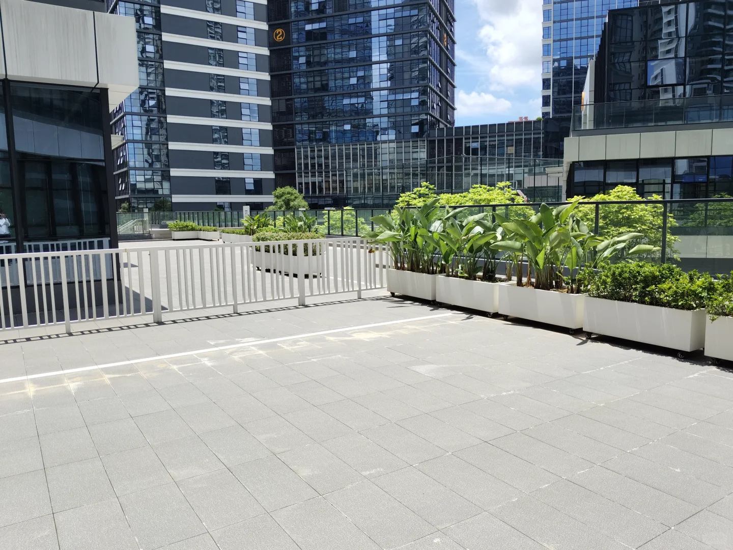 东莞凤岗小型科技公司 招聘行政专员