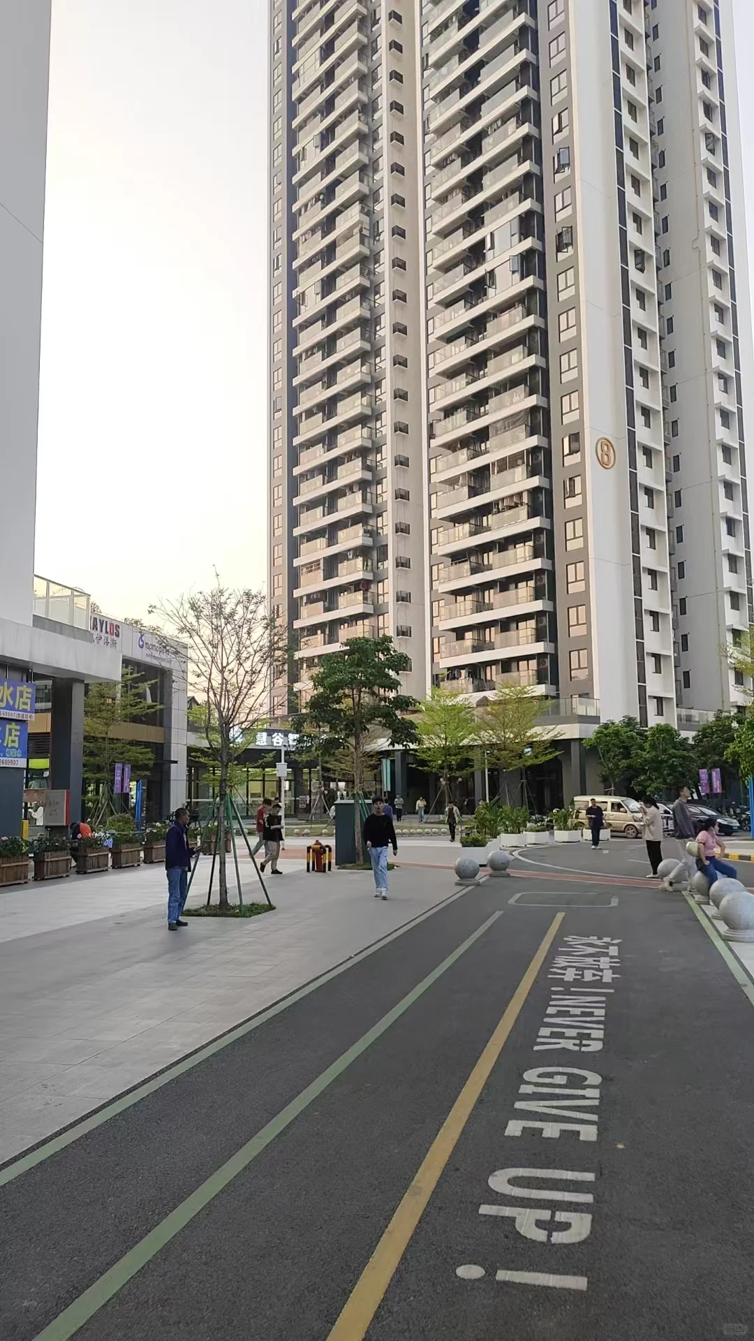 东莞凤岗小型科技公司 招聘行政专员