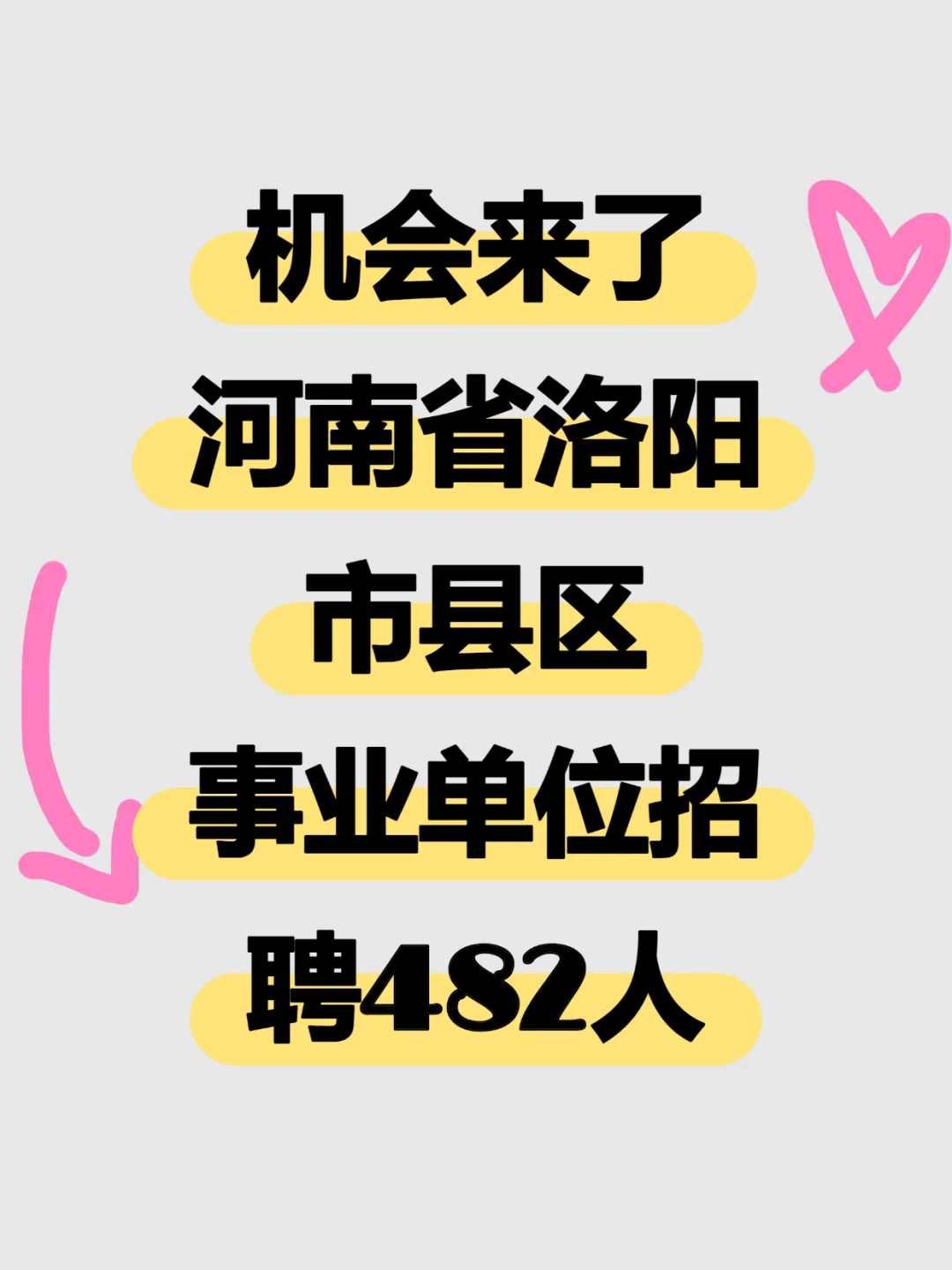 还有机会！洛阳事业单位招聘482人，快~