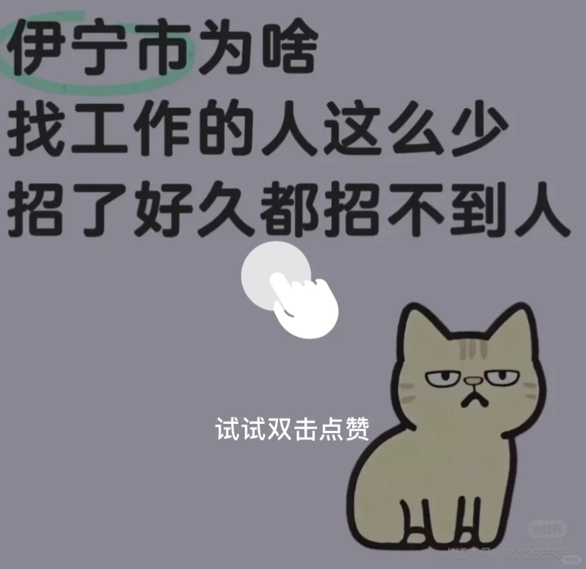 找工作的dd