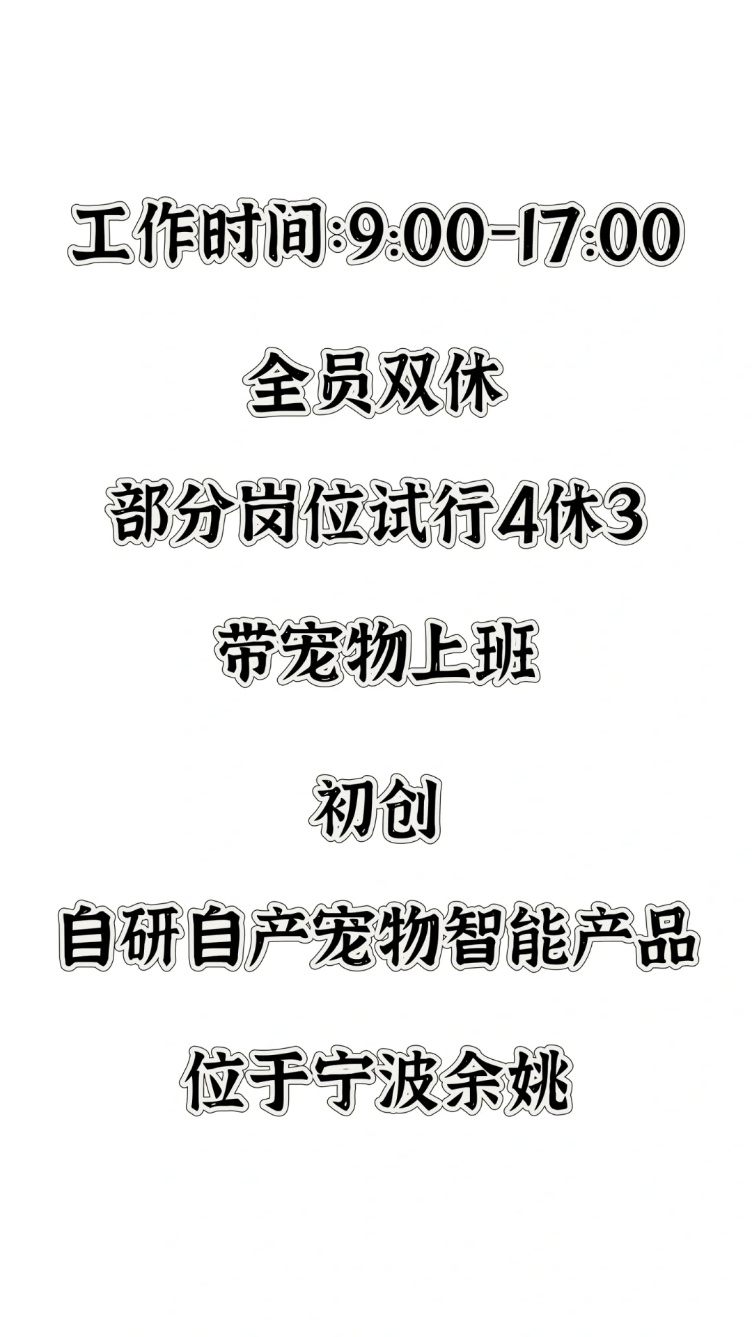 宁波上四休三宠物公司介绍