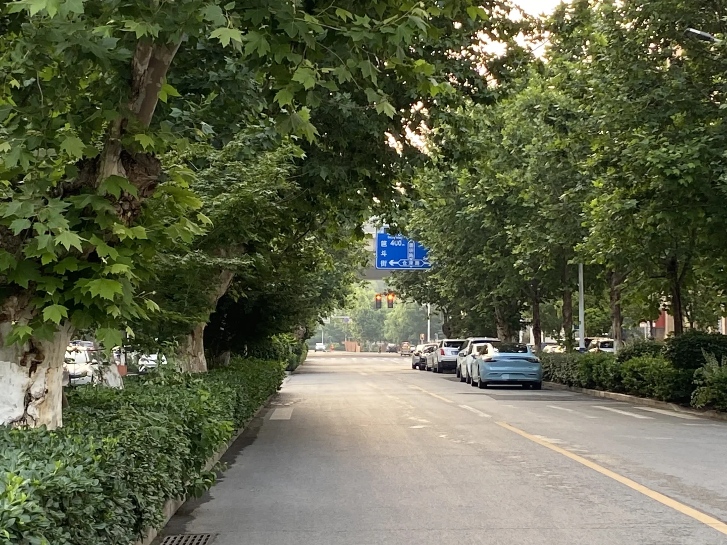 ?重启学习计划Day5 ｜在重复中看见生长的力