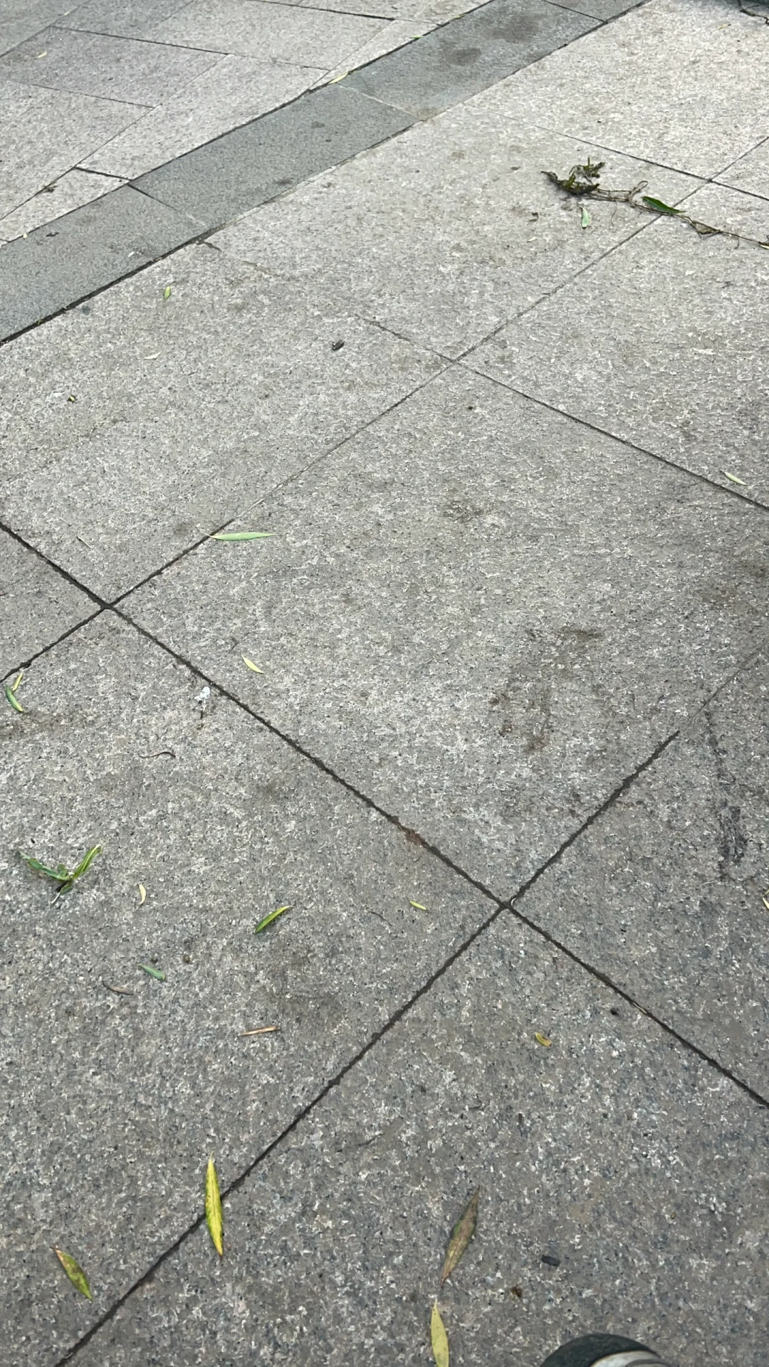 寿光科技学院兼职招聘