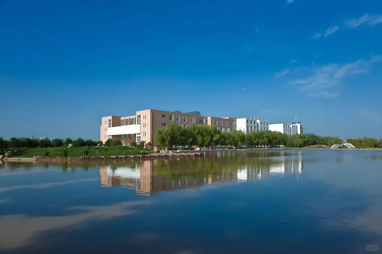 河南科技大学真的后悔来了