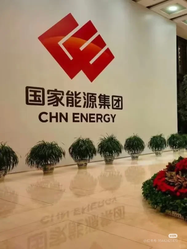 国能自招实习生