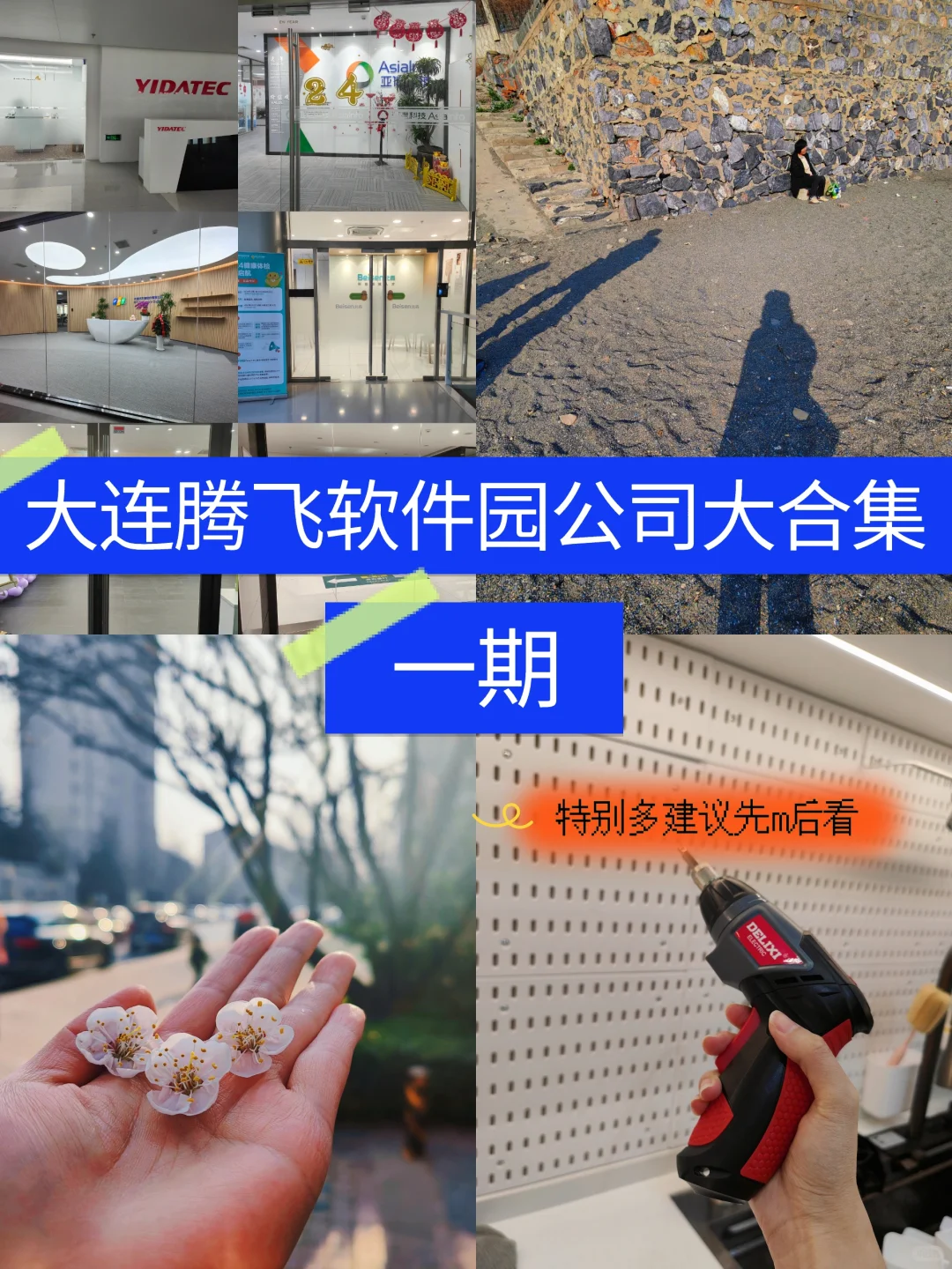 大连找工作｜腾飞软件园公司大合集（一期）