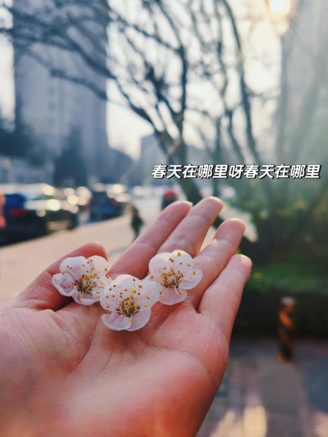 大连找工作｜腾飞软件园公司大合集（一期）