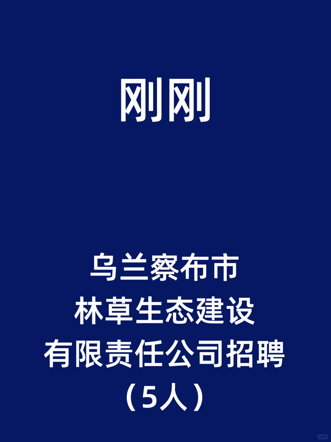 乌兰察布市林草生态建设有限责任公司招聘