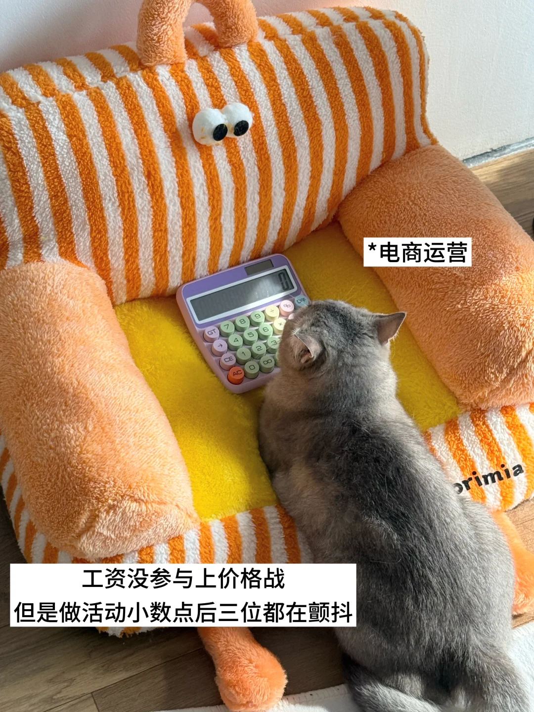 ?双休宠物公司都有哪些岗位？