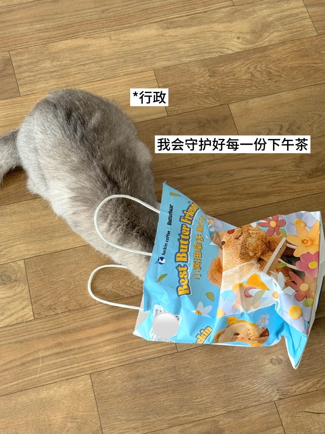 ?双休宠物公司都有哪些岗位？