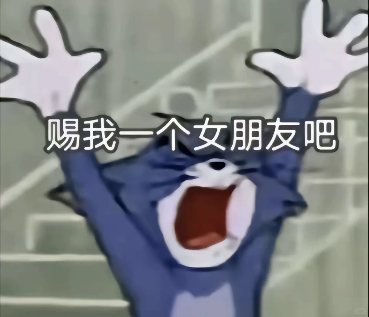 我要谈恋爱啊啊啊啊啊啊啊啊啊啊啊啊！！！