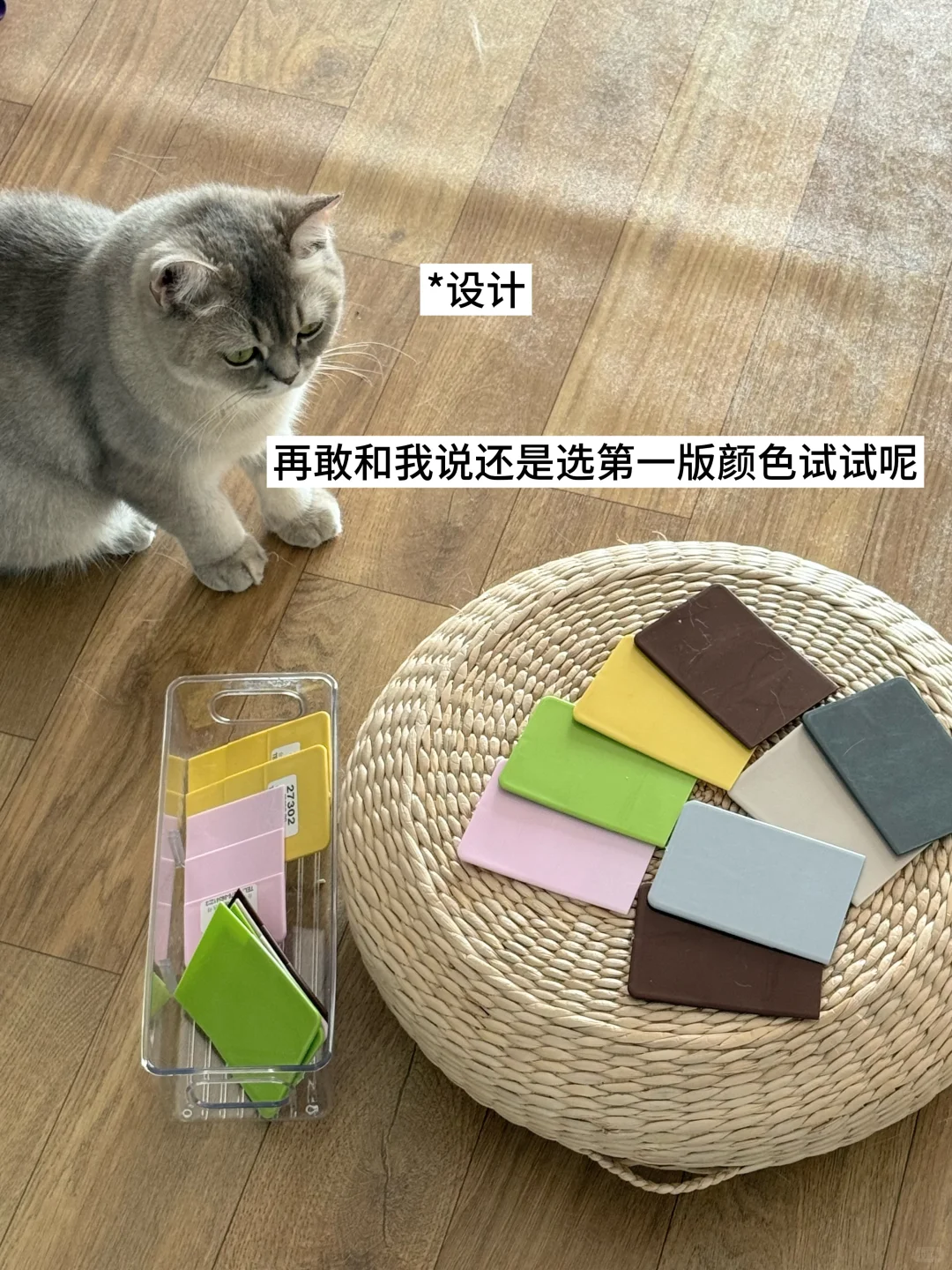 ?双休宠物公司都有哪些岗位？