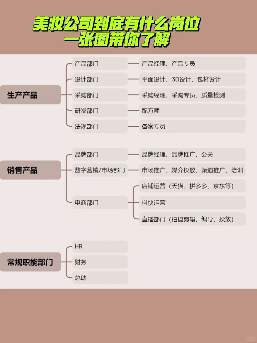 快速了解美妆公司！?小白看完已入职