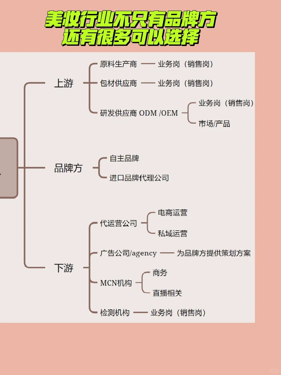 快速了解美妆公司！?小白看完已入职
