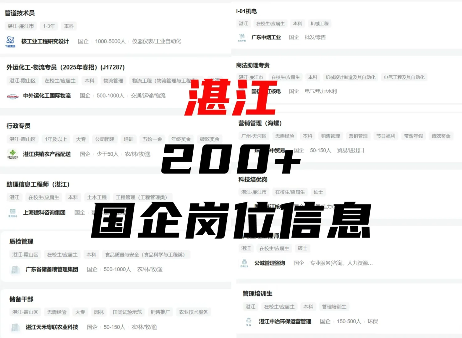 湛江国企新发布的岗位信息