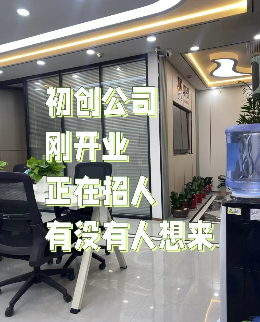 创立公司，正在招人