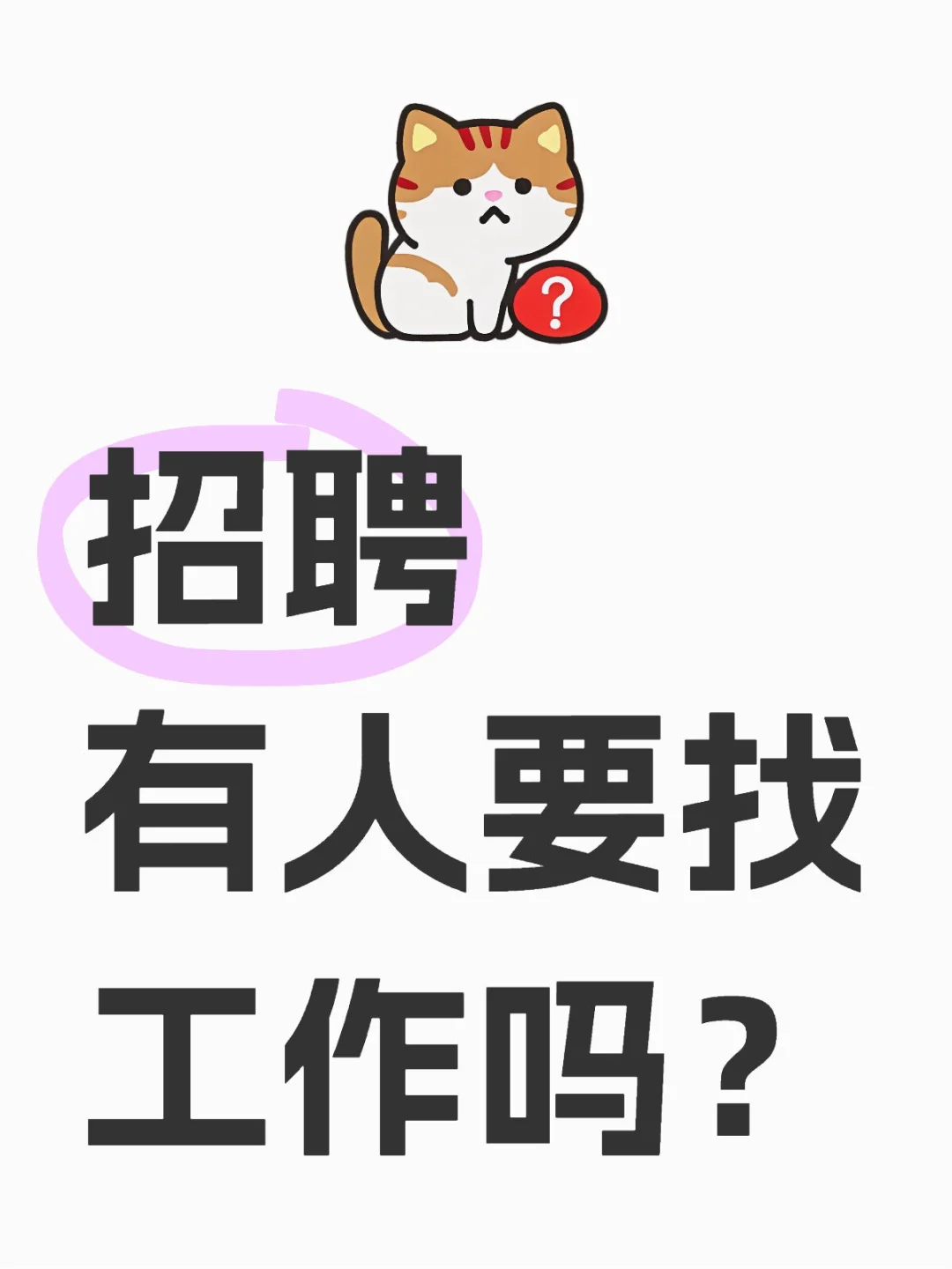老板直聘！！！