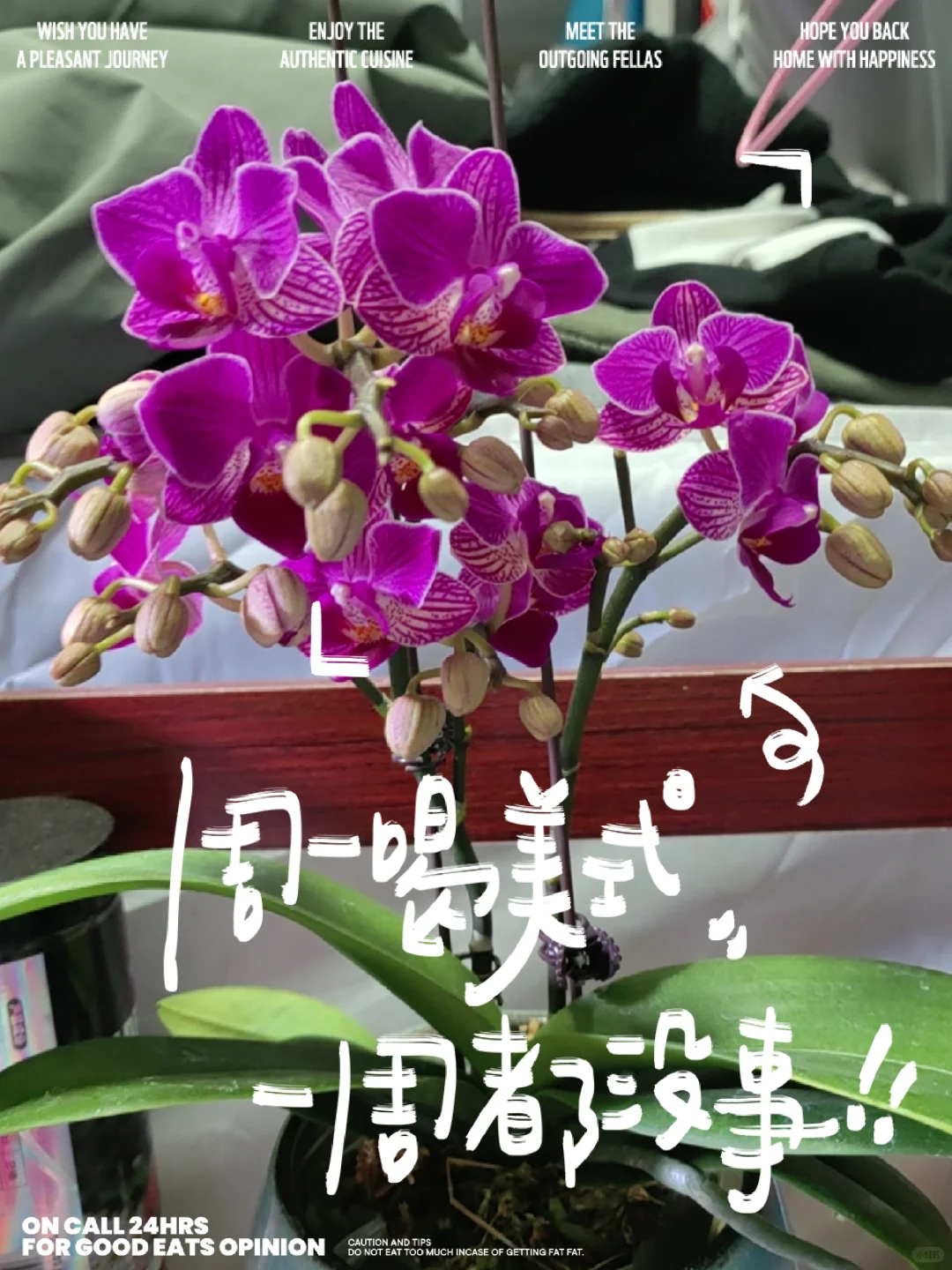 山东省省编待遇问题