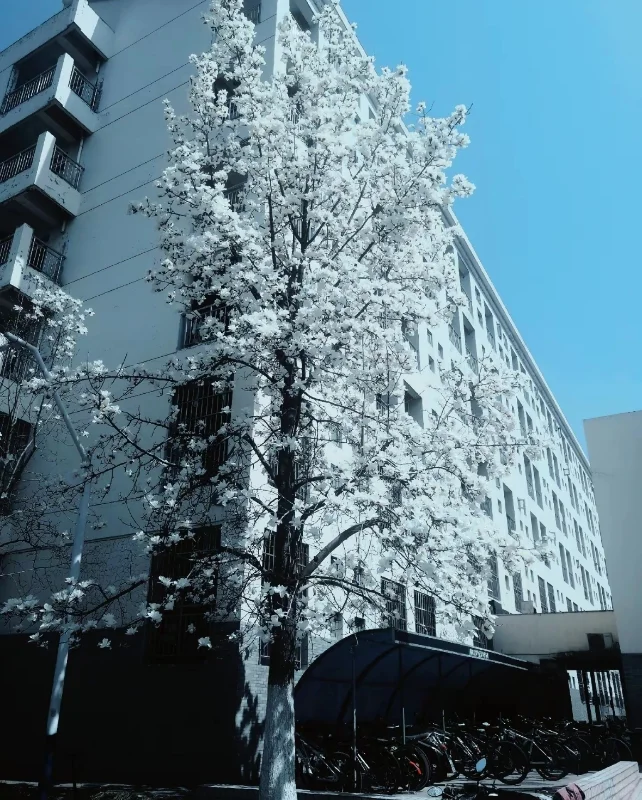 硕士进高校（安徽）5.28出大量招聘公告